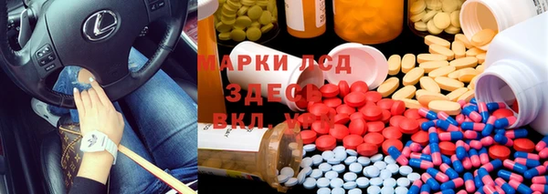 гашик Дубовка